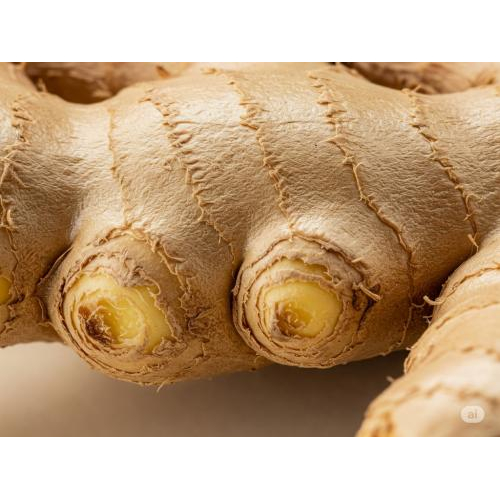 Top 7 Loại Dược Liệu Có Trong Dầu Xoa Bóp