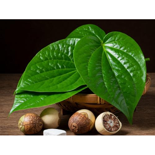 Top 7 Loại Dược Liệu Có Trong Dầu Xoa Bóp