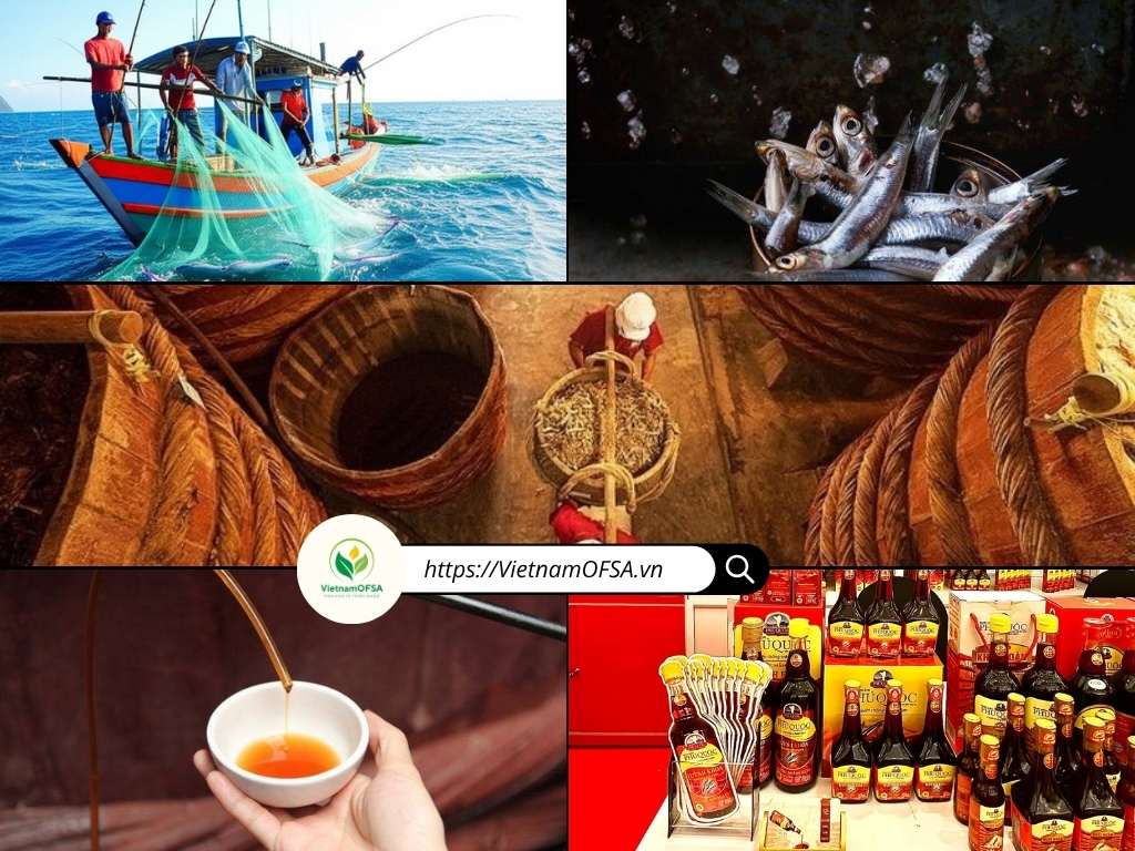 Từ biển khơi đến giọt mắm vàng cánh gián