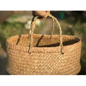Tụng Cỏ Bàng